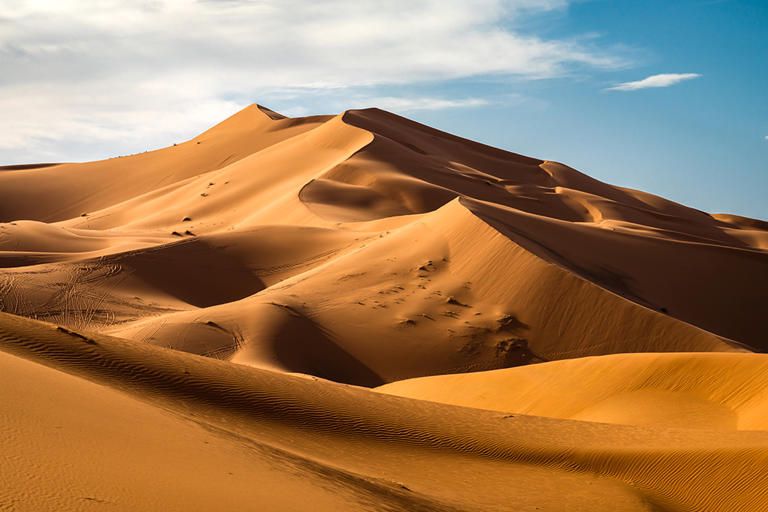Deserto do Saara fica verde e pode ser uma má notícia para a humanidade