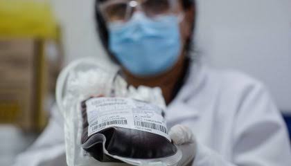 Saiba o que é feito com seu sangue após o uso em exames