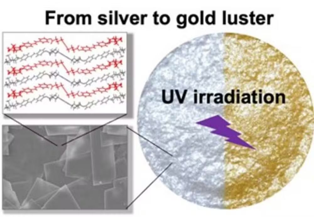 A irradiação UV de cristais de diacetileno obtidos pela formação de uma estrutura de matriz única altera o brilho de prata para dourado / foto - Michinari Kohri/Universidade de Chiba