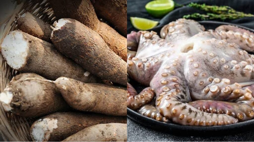 De mandioca ao polvo: as 10 comidas mais perigosas do mundo