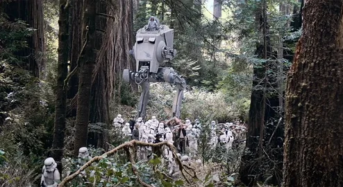 Impacto das gravações de Star Wars na floresta será estudado devido a complicações