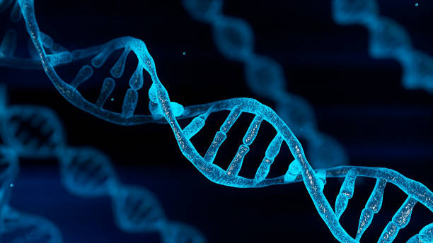 Novos genes identificados no DNA são descobertos