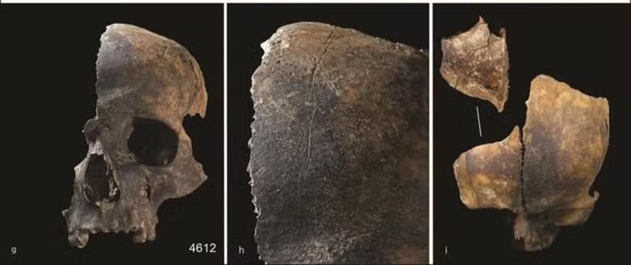 Ossos encontrados em massacre revelam sinais de canibalismo