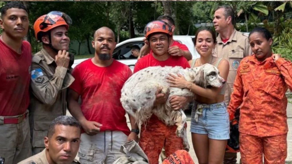 Vídeo; cachorro de Anitta é resgatado por bombeiros preso em buraco na mansão