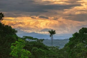 Arqueólogos descobrem nova civilização na Amazônia