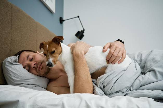 Faz mal dormir com cachorros? Estudo aponta benefícios do hábito