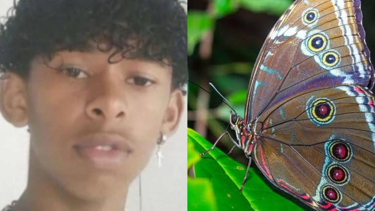 Adolescente morre após injetar borboleta morta na veia; entenda