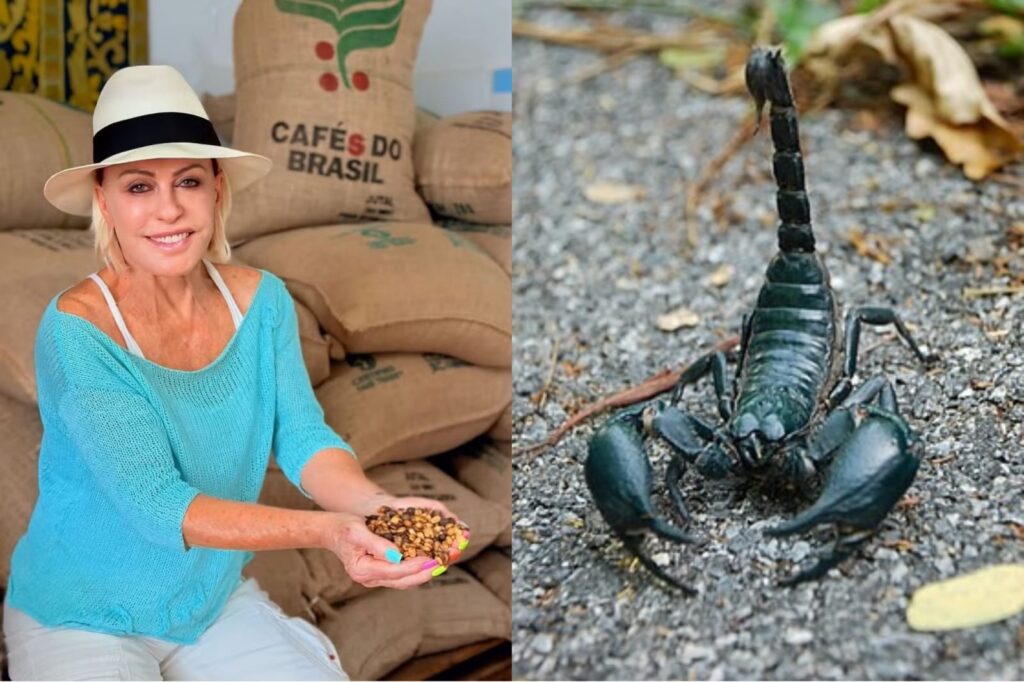 Ana Maria Braga faz alerta após ser picada por um escorpião