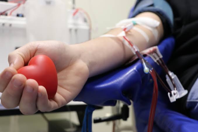 Doar sangue com frequência pode diminuir risco de câncer; entenda