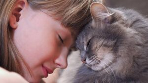 Conheça os 5 sinais de que você é a pessoa favorita do seu gato